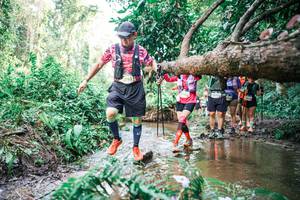 BIB: 
                            <button type="button" onclick="openModal(25517438)" class="btn btn-primary btn-sm float-right btn-popup" data-toggle="modal" data-target=".modal-high-quality">
                        <i class="fas fa-shopping-cart"></i> Add to Cart
                    </button>
                                            <button type="button" onclick="isThisMe(25517438, true)" class="btn btn-success btn-sm float-right btn-popup btn-isme hidden" data-toggle="tooltip" data-placement="bottom" title="นี่คือรูปของคุณใช่ไหม คลิกที่นี่เพื่อเอาเข้าอัลบั้ม">
                        <i class="fas fa-plus"></i> Add to album
                    </button>
                    <button type="button" onclick="isThisMe(25517438, false)" class="btn btn-warning btn-sm float-right btn-popup btn-isnotme hidden">
                        <i class="fas fa-ban"></i> Remove from album
                    </button>